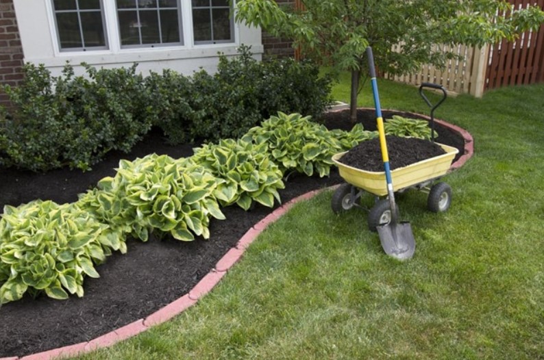 Things You Need to Know About Mulch
